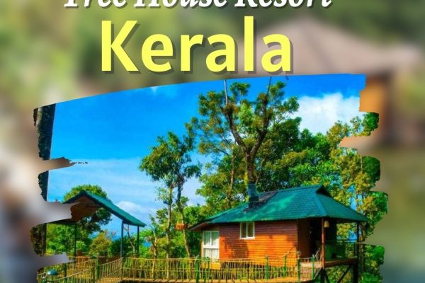 tree house resort kerala