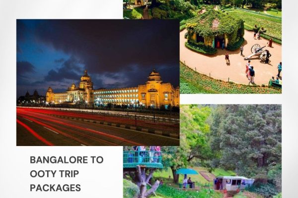 tour packages for Ooty from Bangalore