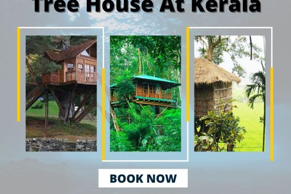 tree house at kerala