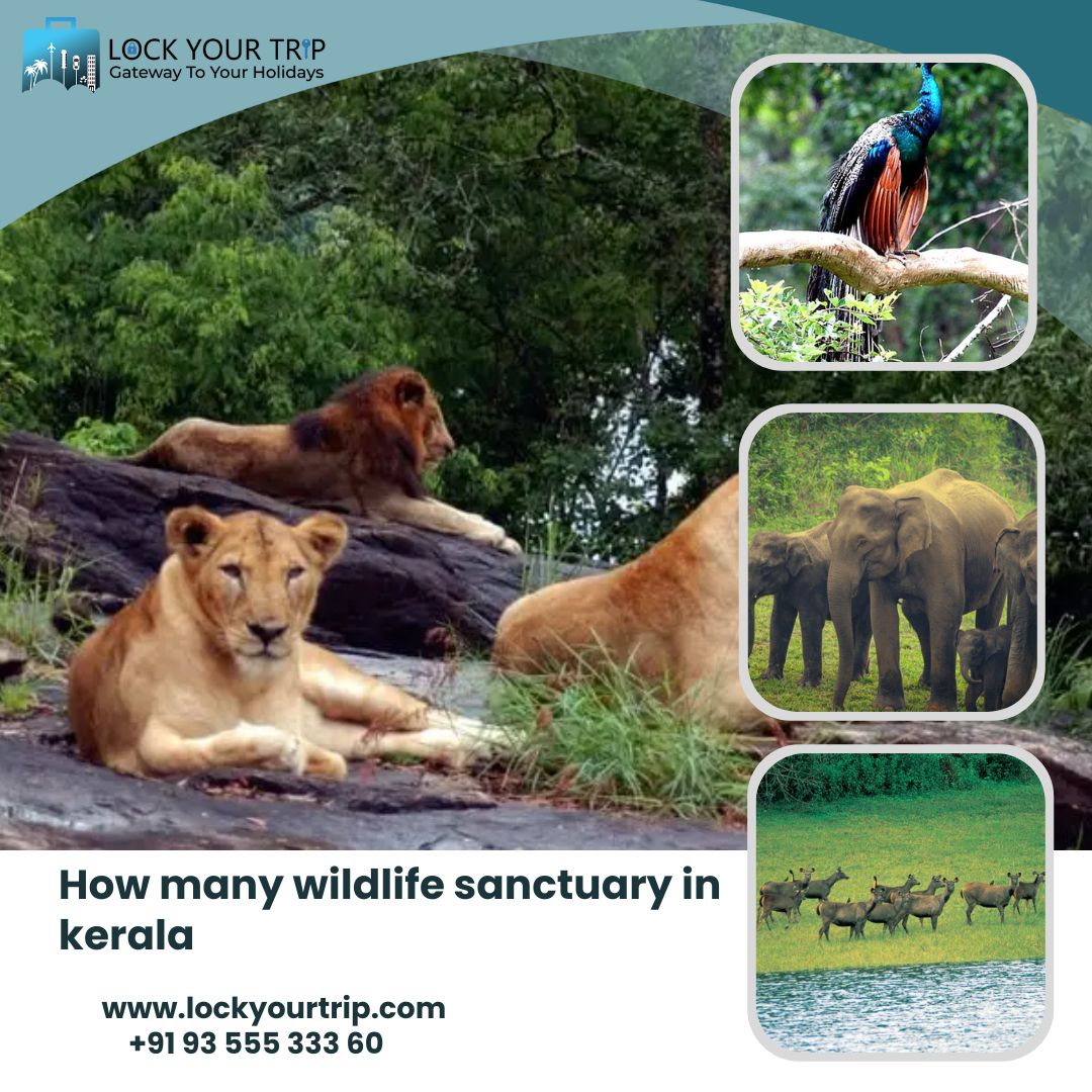list of wildlife sanctuaries in kerala