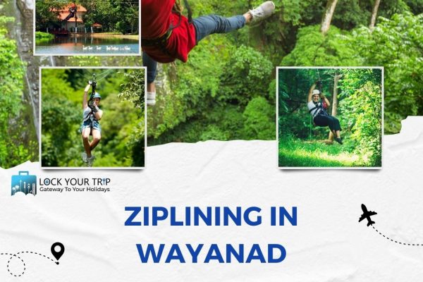 ziplining in wayanad