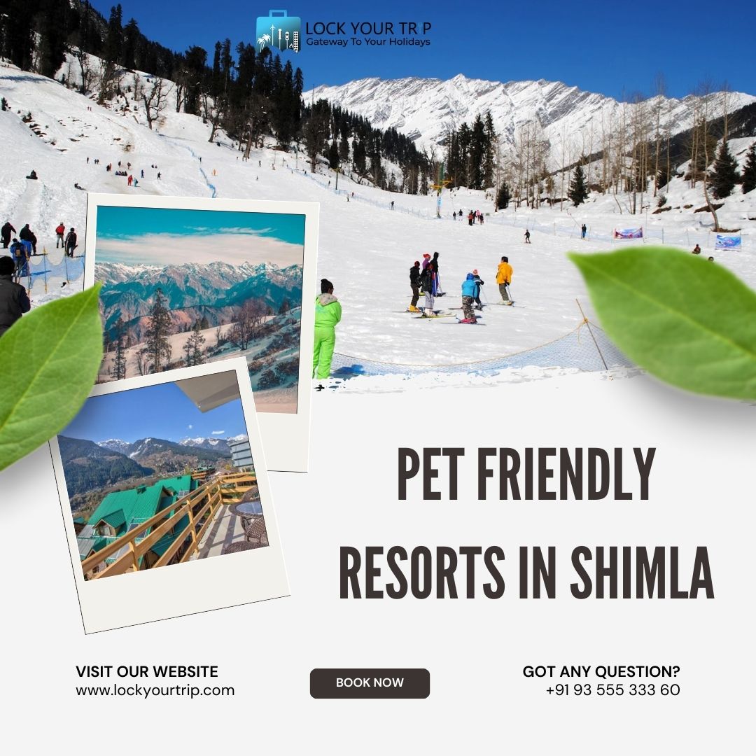 pet-friendly resorts in Shimla