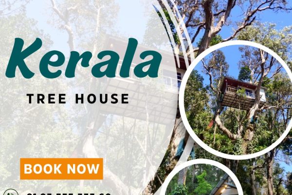 treehouse in Kerala
