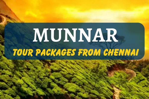 Munnar tour packages from Chennai