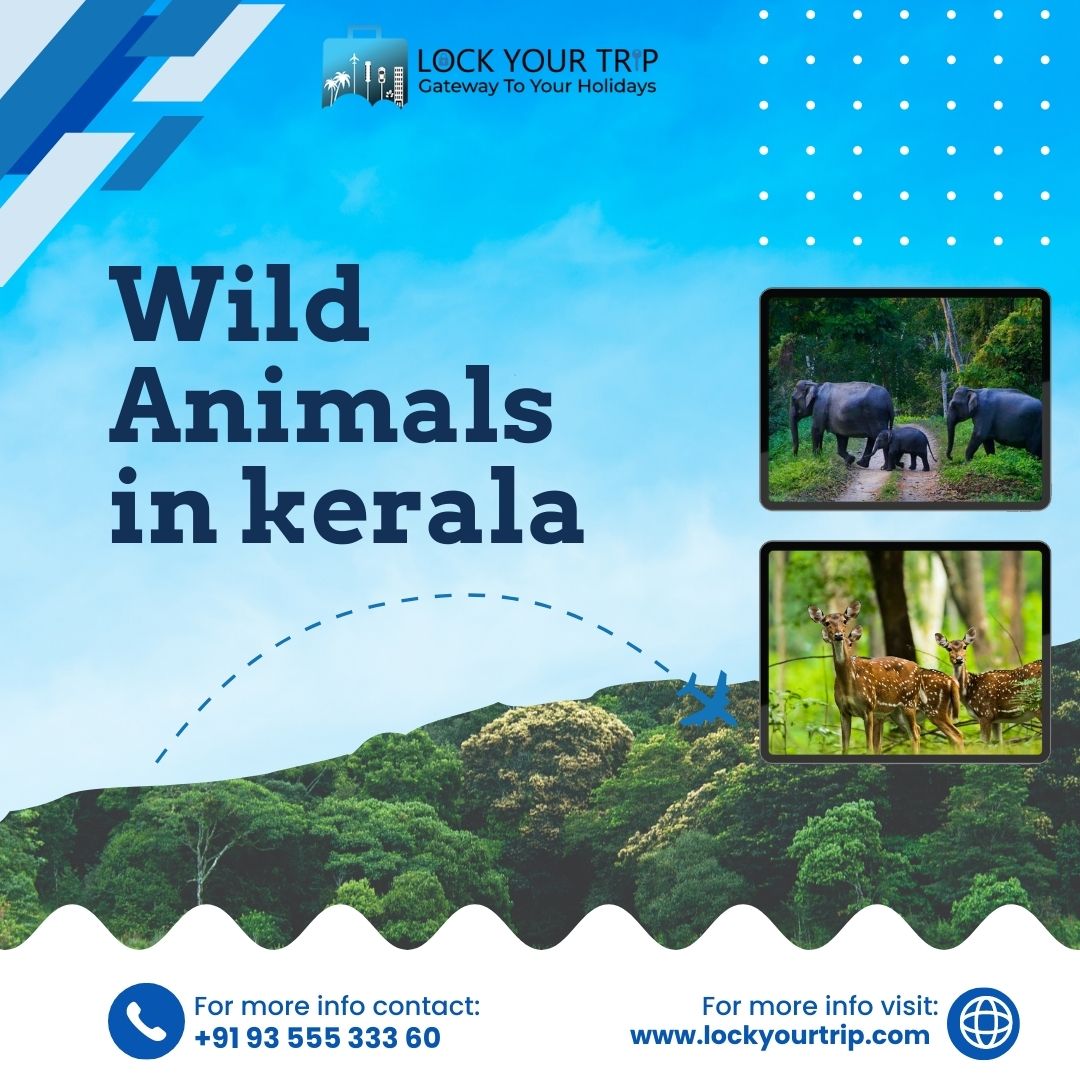 wild animals of kerala